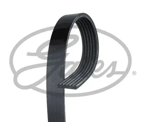 Multi ribbed belt - multi-ribbed, v-belt