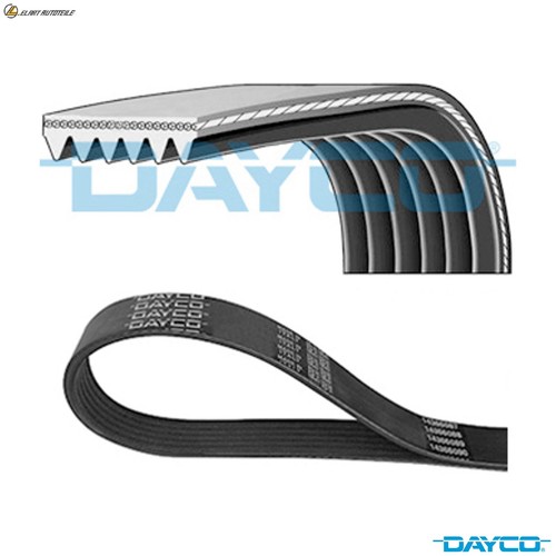 Ribbed belt 6pk1620 - v-ribbed,