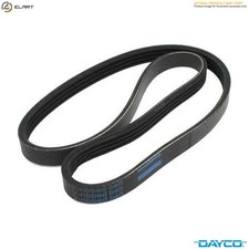 VRIBBED BELT 6PK1100 FOR SKODA