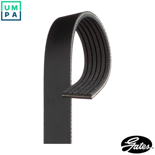 Vribbed belt 6pk1600 - vribbed, for