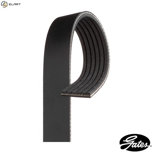Vribbed belt 6pk1600 for - belt,
