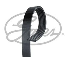 Multi-ribbed V-belt 6PK1600