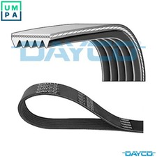 VRIBBED BELT 5PK975 FOR